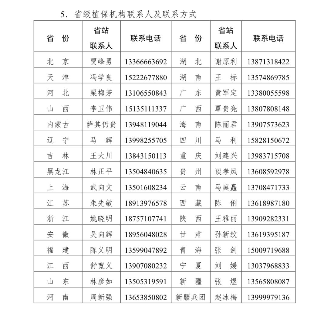 2026世界杯下注平台