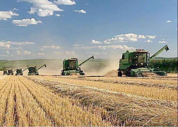 2026世界杯下注平台