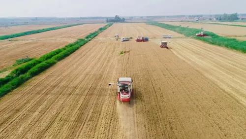 2026世界杯下注平台