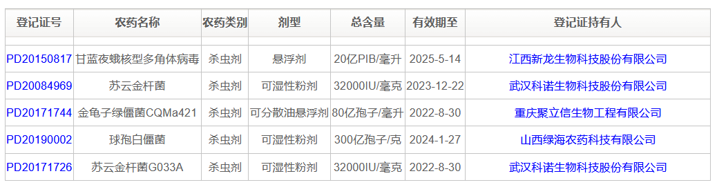2026世界杯下注平台