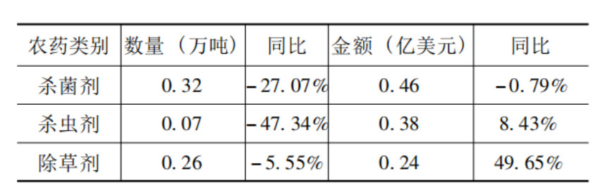 2026世界杯下注平台