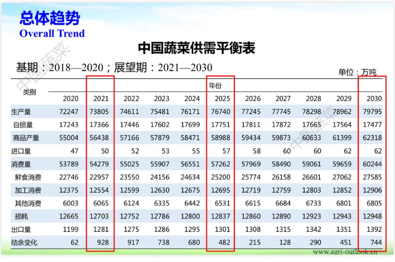 2026世界杯下注平台