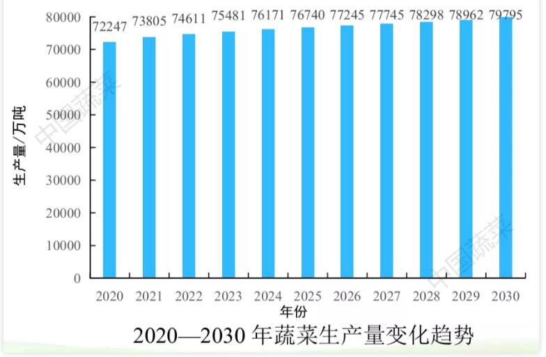 2026世界杯下注平台