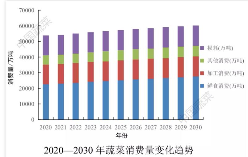 2026世界杯下注平台