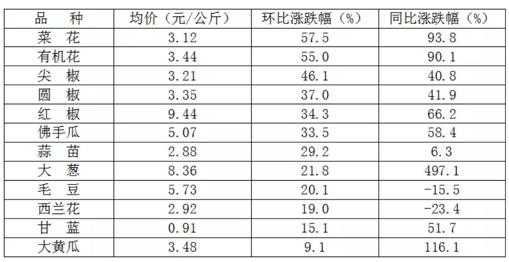 2026世界杯下注平台