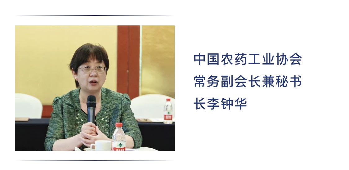 2026世界杯下注平台