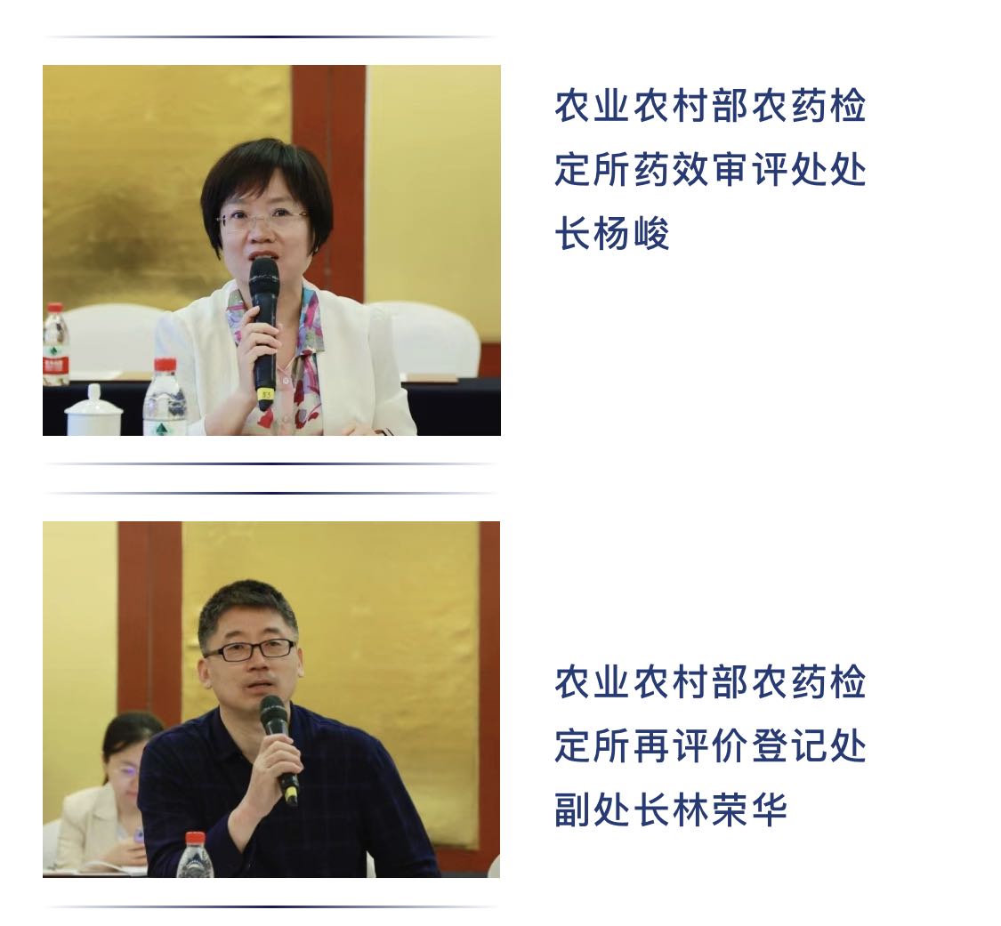 2026世界杯下注平台