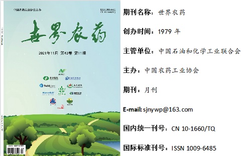 2026世界杯下注平台