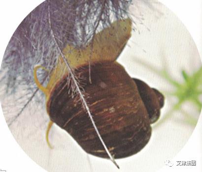 2026世界杯下注平台