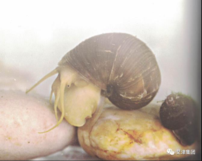 2026世界杯下注平台