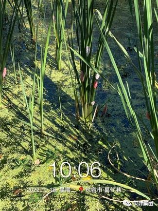 2026世界杯下注平台