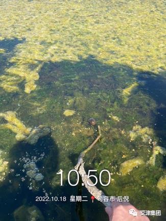 2026世界杯下注平台