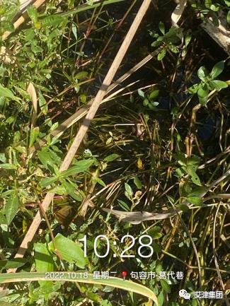 2026世界杯下注平台