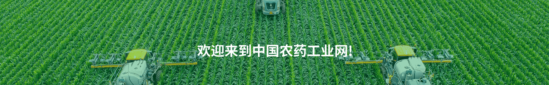 2026世界杯下注平台