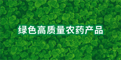 2026世界杯下注平台