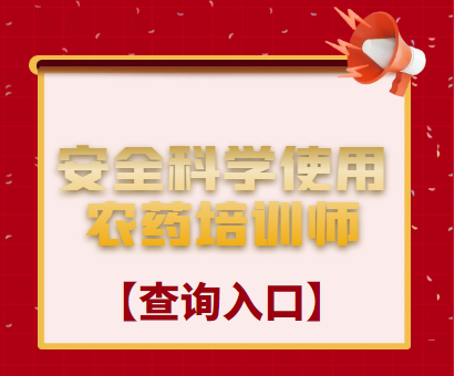 世界杯投注网站培训